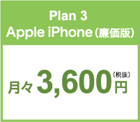 Plan 3Apple iPhone（廉価版）